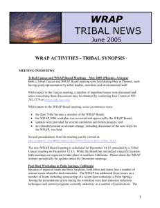 WRAP ACTIVITIES TRIBAL SYNOPSIS
