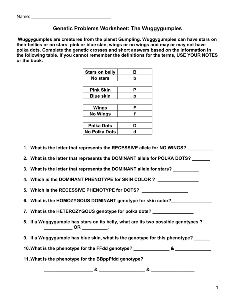 Genetic Problems Worksheet The Wuggygumples