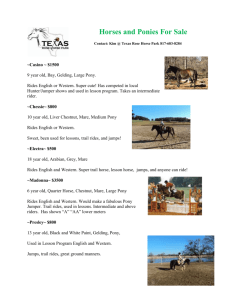 Horses and Ponies For Sale Contact: Kim @ Texas Rose Horse