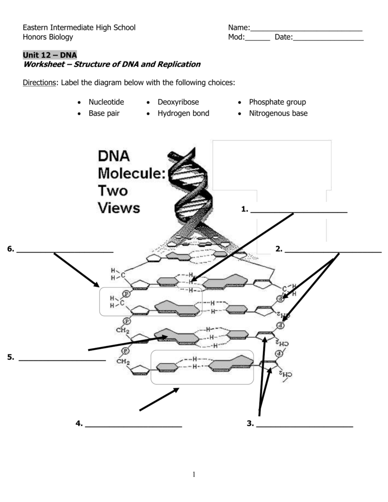 dna-and-replication-worksheet