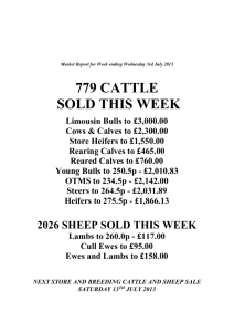 Market Report Wednesday 3rd July 2013