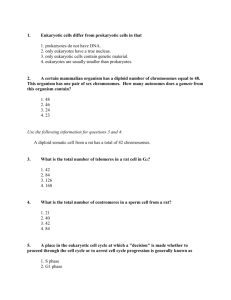 Question Answers 4