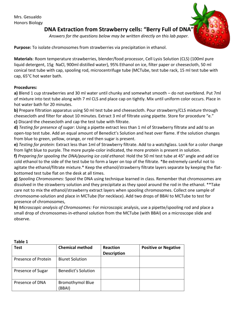 Mrs. Gesualdo Honors Biology DNA Extraction from Strawberry cells With Regard To Strawberry Dna Extraction Lab Worksheet