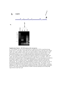 Supplementary Figure 1. RT-PCR analysis of the wsp operon. a. To