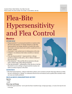 flea-bite_hypersensitivity_and_flea_control