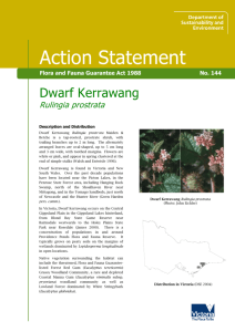 Dwarf Kerrawang (Rulingia prostrata) accessible
