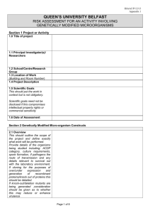 GMM Risk Assessment Form - Queen`s University Belfast