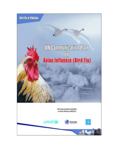 UN Pakistan Communication Plan on Avian Influenza