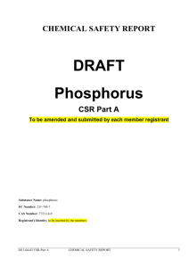 CSR Part A template - phosphorus