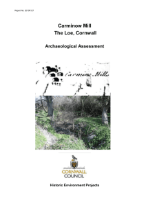 Carminow Mill Report