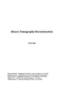 Binary Tomography project documentation