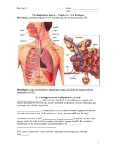 The Respiratory System – Chapter 8 – New Textbook