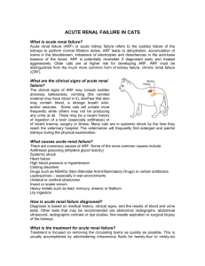 ACUTE RENAL FAILURE IN CATS - Veterinary Clinic of Myrtle Beach
