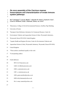 Verbruggen_CMaenasTranscriptome_ BMCgenomics_2015