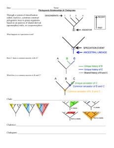 8 Phylogenetic relationships and Cladograms handout