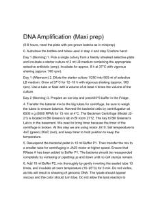 DNA Amplification (Maxi prep)
