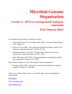 DNA re-arrangements - Homepages | The University of Aberdeen