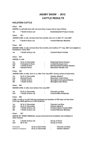 ASHBY SHOW CATTLE RESULTS