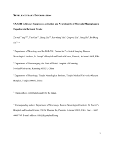 SUPPLEMENTARY INFORMATION CX3CR1 Deficiency