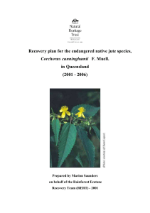 Recovery plan for the endangered native jute species, Corchorus