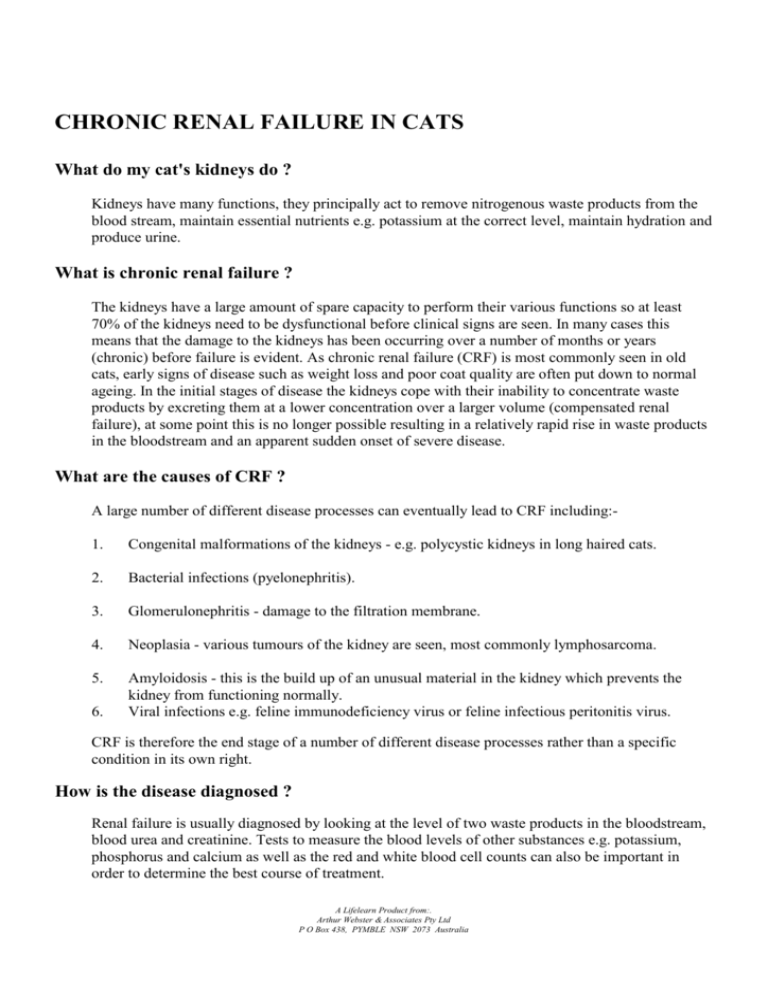 chronic-renal-failure-nursing-care-and-management-study-guide