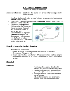 4.2 – Sexual Reproduction (Taken from Biology 11, McGraw