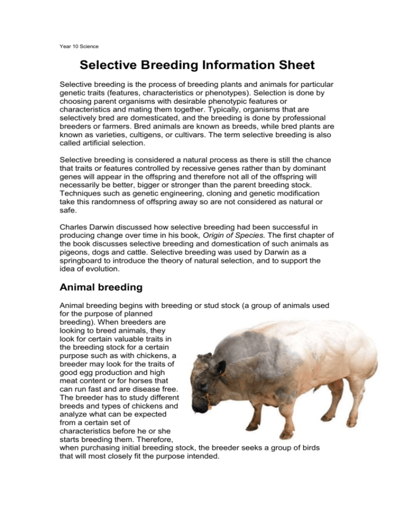 Selective Breeding Information Sheet