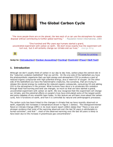 The Carbon Cycle lecture notes: Global Change Project