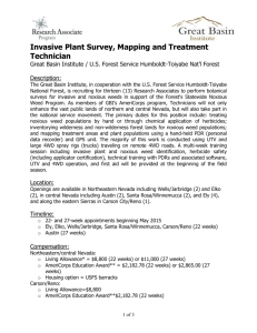 Invasive Plant Survey, Mapping and Treatment