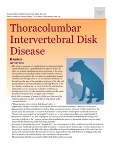 thoracolumbar_intervertebral_disk_disease