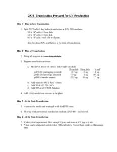 293T Transfection Protocol for LV Production
