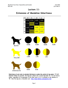 Lecture 11-Extensions of Mendelian Inheritance