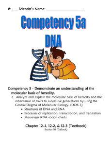 Chapter 11: DNA: The Molecule of Heredity