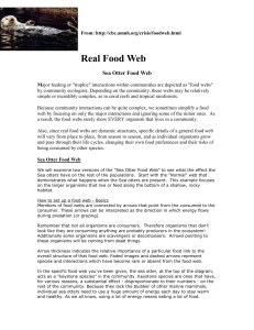 Real Food Web