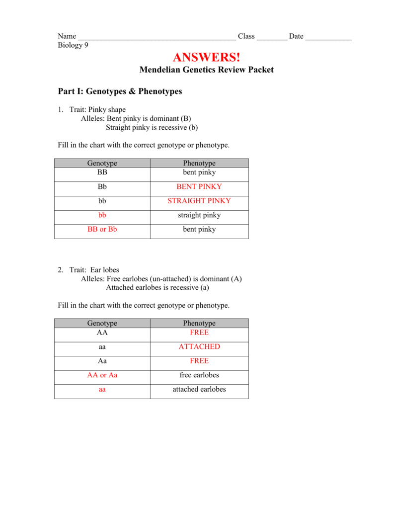 Genotypes and Phenotypes – Practice Intended For Genotypes And Phenotypes Worksheet