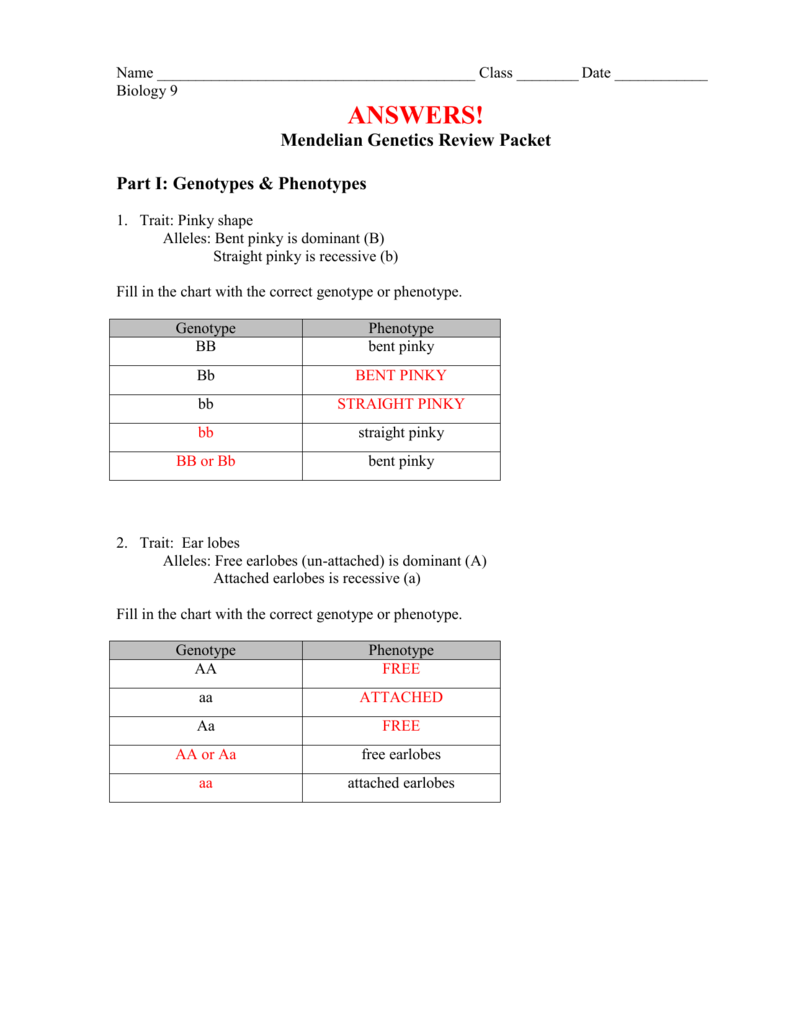 Fastest Genotype Vs Phenotype Worksheet Pertaining To Genotypes And Phenotypes Worksheet Answers