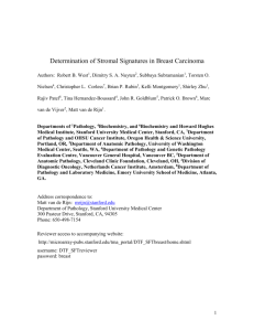 Determination of Stromal Signatures in Breast Carcinoma