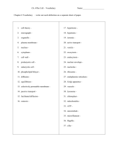 Chapter 6 Vocabulary - Plain Local Schools