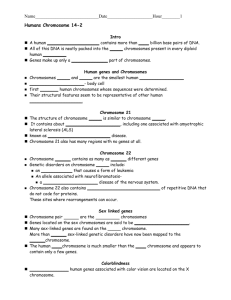 Humans Chromosome 14-2