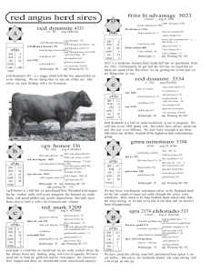 red angus herd sires