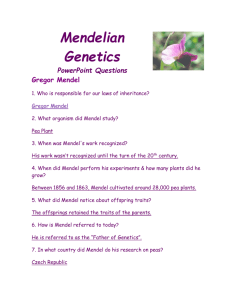 Mendelian Genetics PowerPoint Questions Gregor Mendel 1. Who is