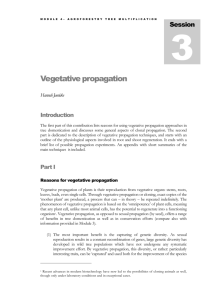 M5S3 Vegetative Propagation