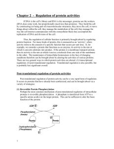 Chapter 2 - Regulation of protein activities