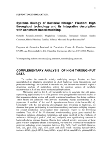 Systems Biology of Biological Nitrogen Fixation