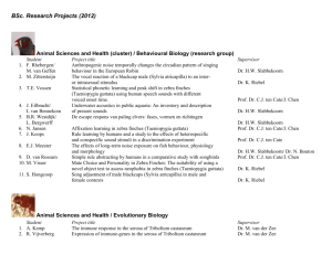 BSc. Research Projects (2012)