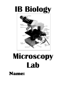 Microscope Lab - Wikispaces