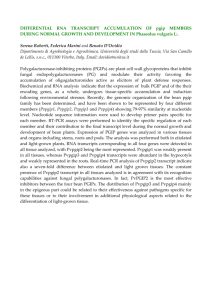 DIFFERENTIAL RNA TRANSCRIPT ACCUMULATION OF pgip