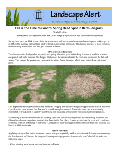 Fall is the Time to Control Spring Dead Spot in Bermudagrass
