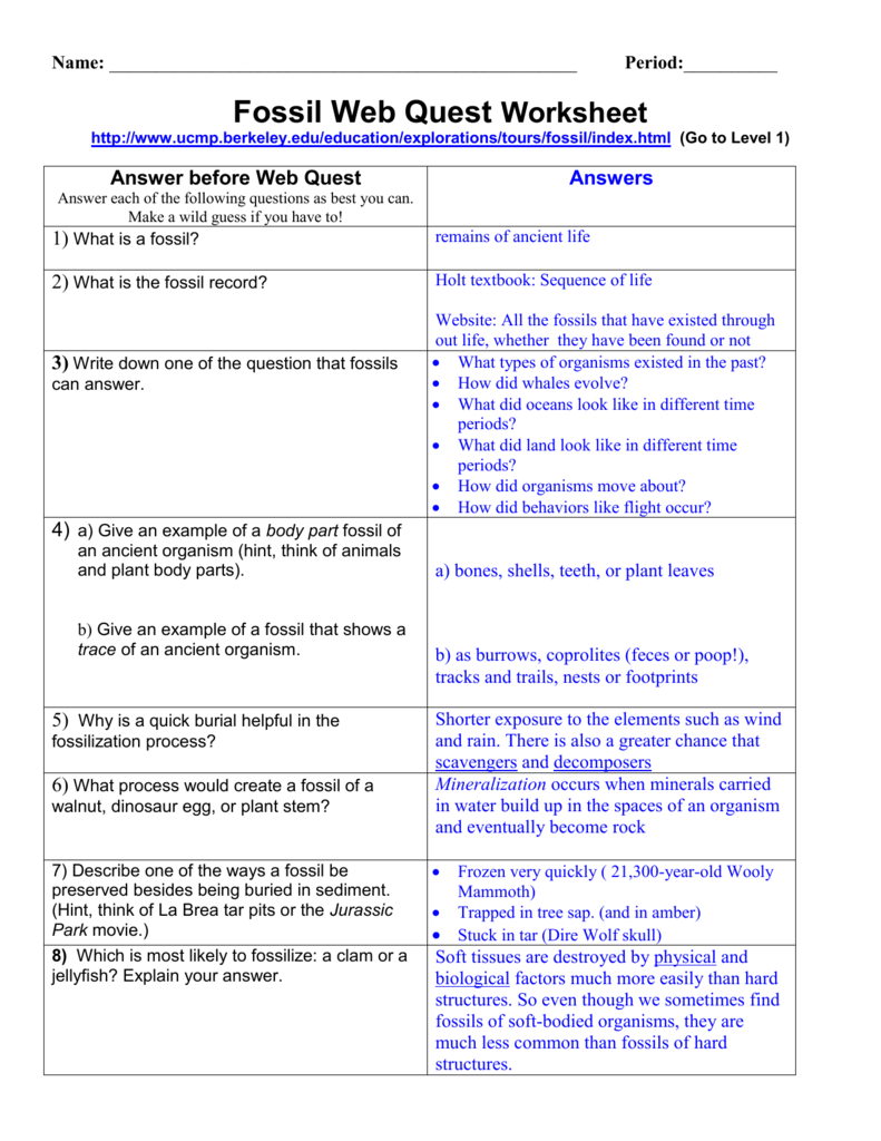 Fossil Web Quest Worksheet