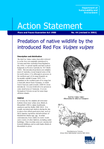 Predation of native wildlife by the introduced Red Fox Vulpes vulpes